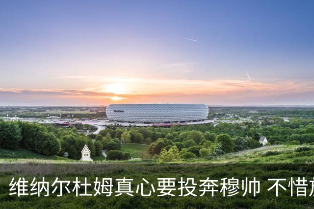 维纳尔杜姆真心要投奔穆帅 不惜放弃100万奖金